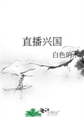 （综武侠同人）直播兴国